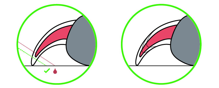 Nagels knippen doe je zo