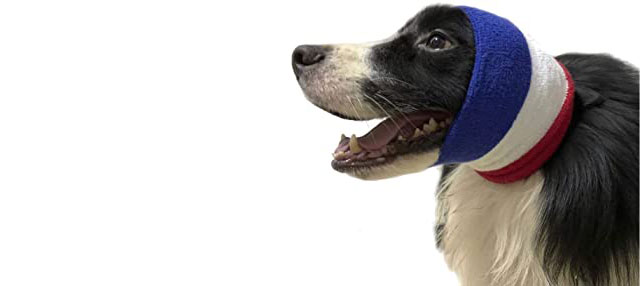 verzorging is ook de oren beschermen tegen het droogblazen