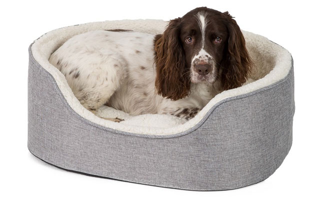 Je hond leren blijven