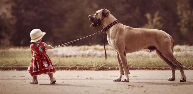 Meelopen aan de lijn