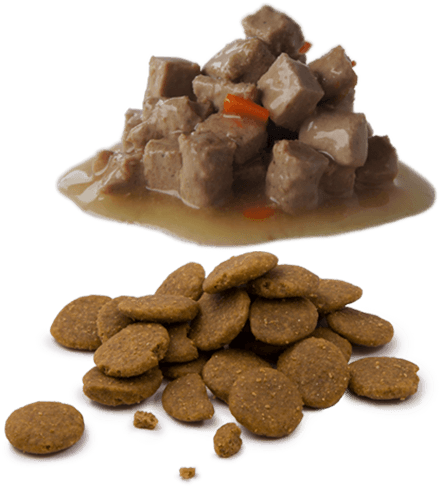 Natvoer of Droogvoer 1