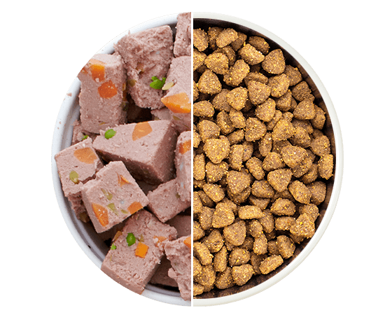 Natvoer of Droogvoer samen geven