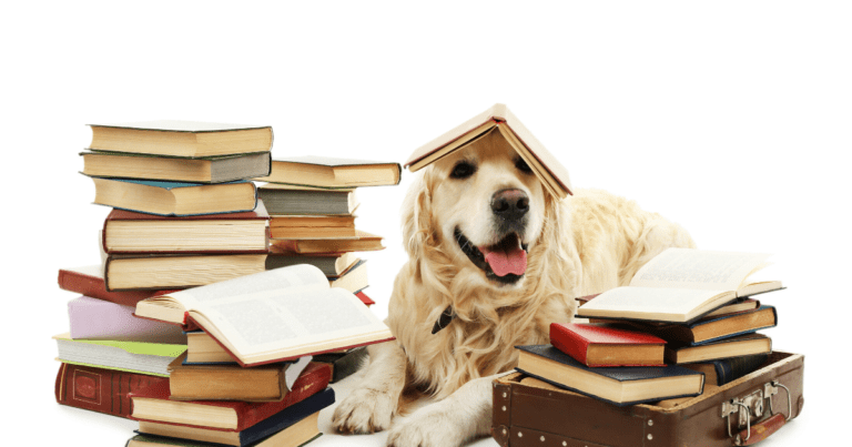 en meer, reading dogs en leuke pagina's