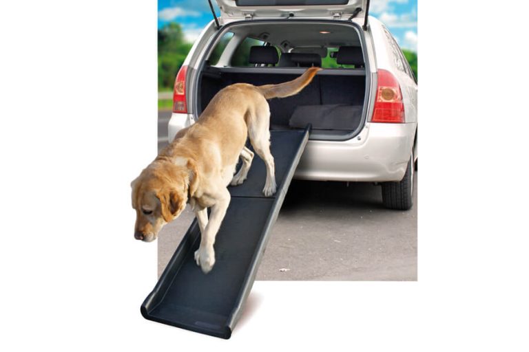 Hondenloopplank met antislip